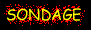 petit sondage � nous renvoyer